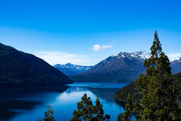 Découvrez 10 vins rosés idéaux pour accompagner vos plats